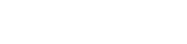 ironpig